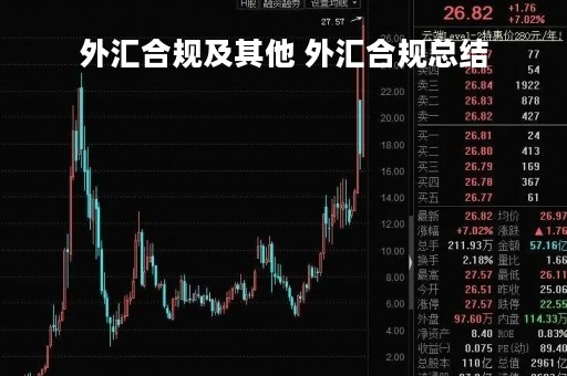 外汇合规及其他 外汇合规总结