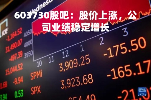 603730股吧：股价上涨，公司业绩稳定增长