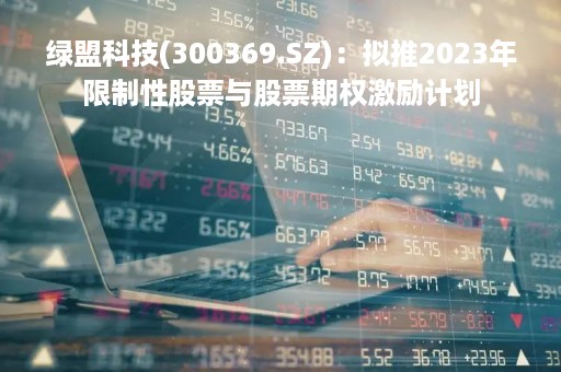 绿盟科技(300369.SZ)：拟推2023年限制性股票与股票期权激励计划