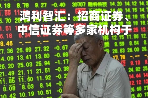 鸿利智汇：招商证券、中信证券等多家机构于5月12日调研我司