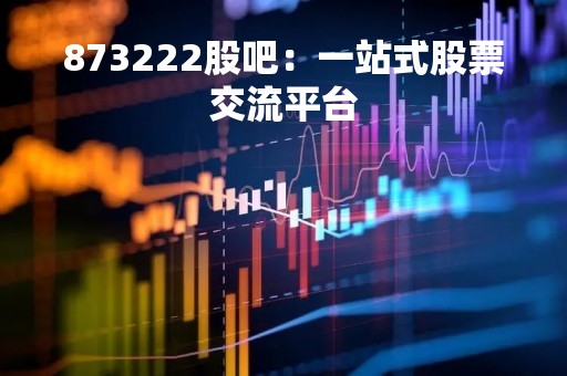 873222股吧：一站式股票交流平台