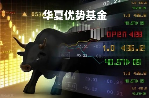 华夏优势基金