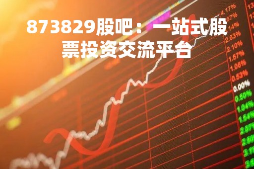 873829股吧：一站式股票投资交流平台