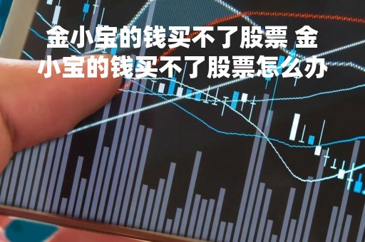 金小宝的钱买不了股票 金小宝的钱买不了股票怎么办