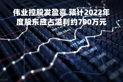 伟业控股发盈喜 预计2022年度股东应占溢利约700万元