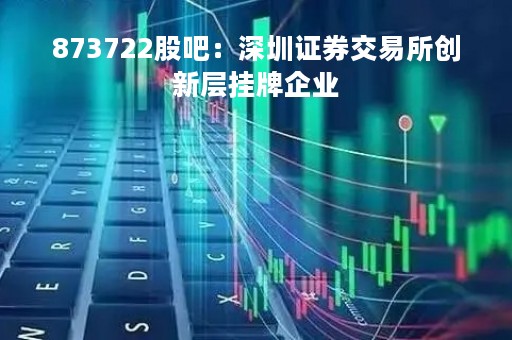 873722股吧：深圳证券交易所创新层挂牌企业