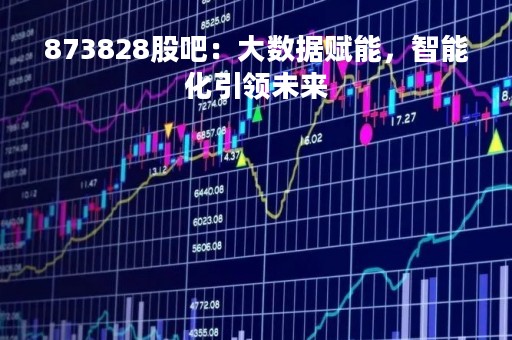 873828股吧：大数据赋能，智能化引领未来