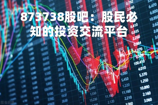 873738股吧：股民必知的投资交流平台