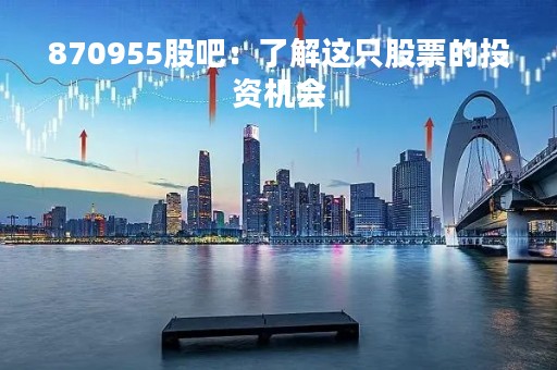870955股吧：了解这只股票的投资机会