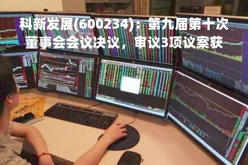 科新发展(600234)：第九届第十次董事会会议决议，审议3项议案获通过