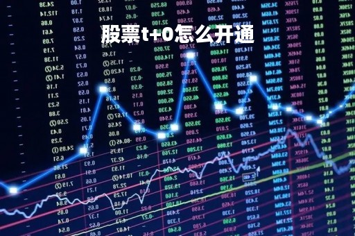 股票t+0怎么开通