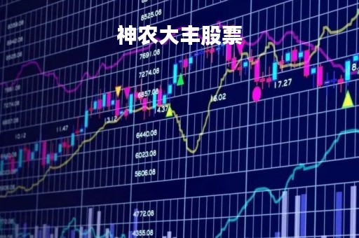 神农大丰股票
