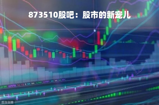 873510股吧：股市的新宠儿