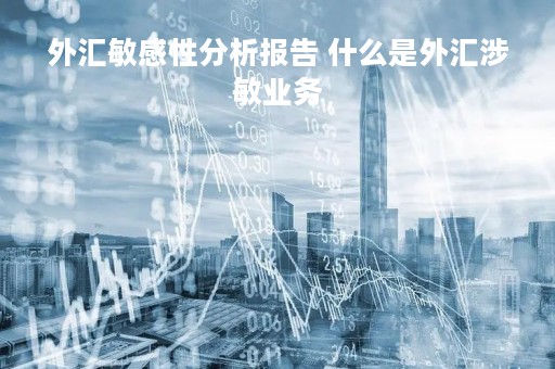 外汇敏感性分析报告 什么是外汇涉敏业务
