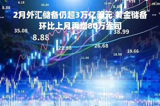 2月外汇储备仍超3万亿美元 黄金储备环比上月再增80万盎司