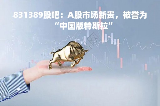 831389股吧：A股市场新贵，被誉为“中国版特斯拉”