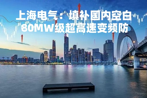 上海电气：填补国内空白 80MW级超高速变频防爆同步电动机研制成功