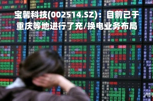 宝馨科技(002514.SZ)：目前已于重庆等地进行了充/换电业务布局
