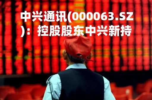 中兴通讯(000063.SZ)：控股股东中兴新持股比例累计变动超过1%