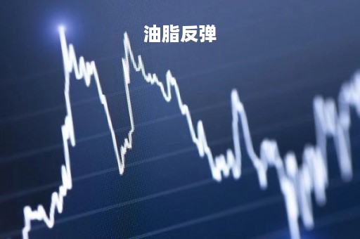 油脂反弹