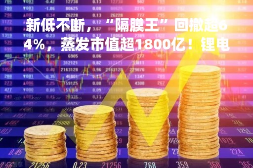 新低不断，“隔膜王”回撤超64%，蒸发市值超1800亿！锂电概念有点“冷”，这些龙头股市盈率逼近个位数
