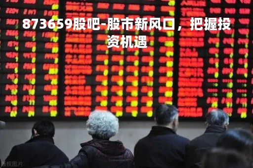 873659股吧-股市新风口，把握投资机遇