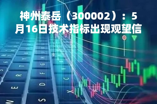 神州泰岳（300002）：5月16日技术指标出现观望信号-“黑三兵”