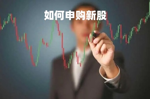 如何申购新股