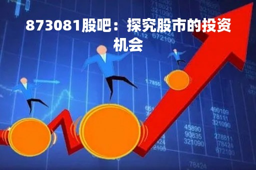 873081股吧：探究股市的投资机会