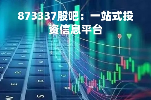 873337股吧：一站式投资信息平台