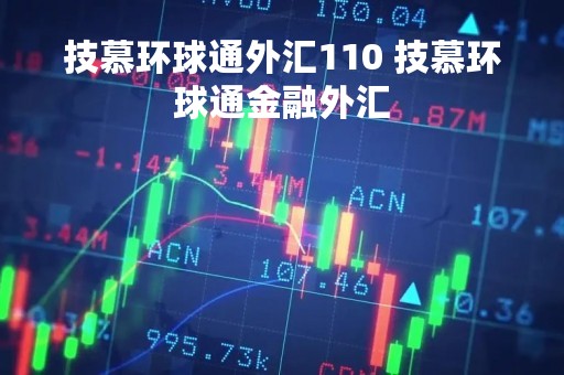 技慕环球通外汇110 技慕环球通金融外汇