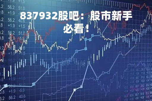 837932股吧：股市新手必看！