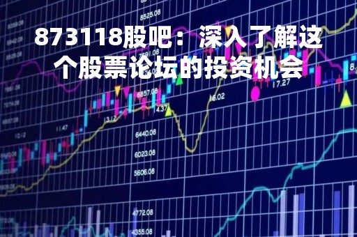 873118股吧：深入了解这个股票论坛的投资机会