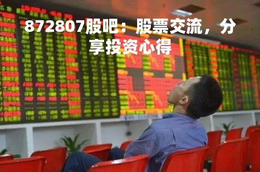 872807股吧：股票交流，分享投资心得