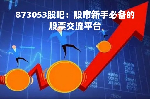 873053股吧：股市新手必备的股票交流平台