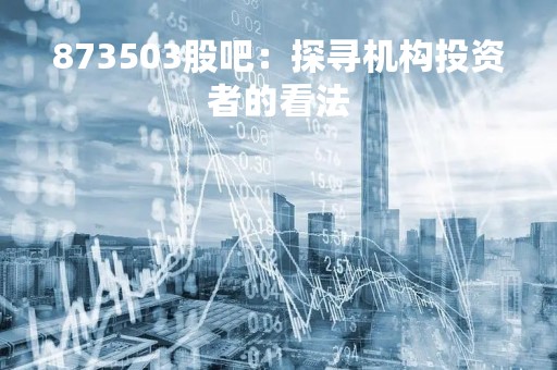873503股吧：探寻机构投资者的看法
