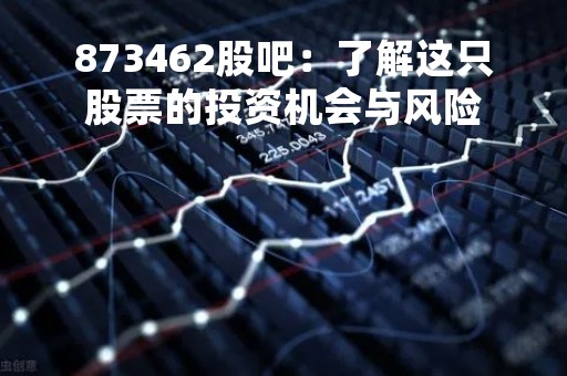 873462股吧：了解这只股票的投资机会与风险
