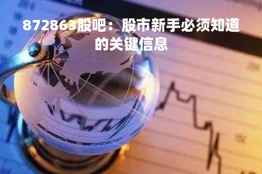872863股吧：股市新手必须知道的关键信息