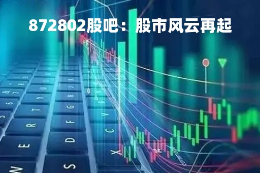 872802股吧：股市风云再起