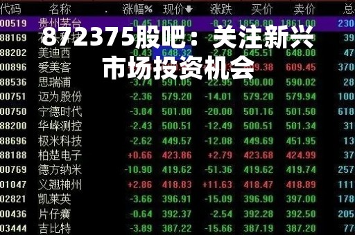 872375股吧：关注新兴市场投资机会