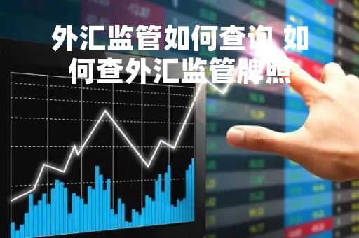 外汇监管如何查询 如何查外汇监管牌照