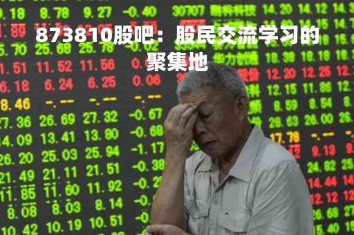 873810股吧：股民交流学习的聚集地