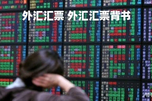 外汇汇票 外汇汇票背书