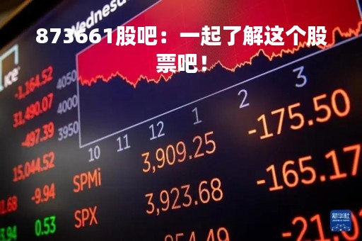 873661股吧：一起了解这个股票吧！