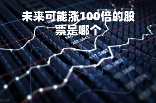 未来可能涨100倍的股票是哪个