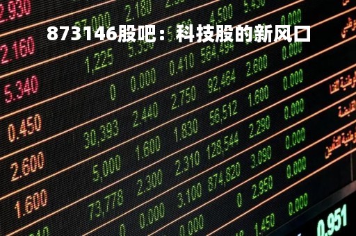 873146股吧：科技股的新风口