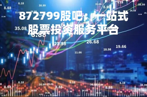 872799股吧：一站式股票投资服务平台