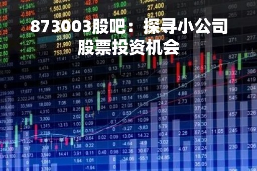 873003股吧：探寻小公司股票投资机会