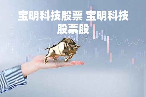 宝明科技股票 宝明科技股票股