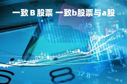 一致Ｂ股票 一致b股票与a股